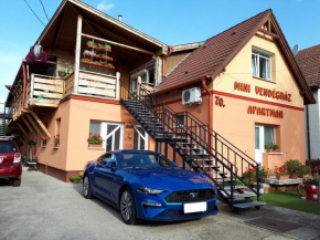 Отель Mini Vendégház Budaörs  Будаорс